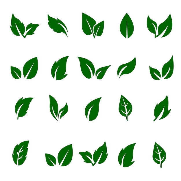 liście ustawić eko ikony na białym tle