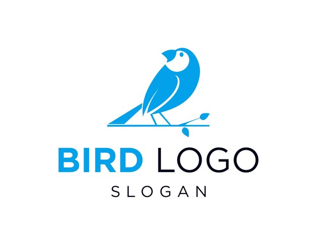 Logo Bird Design zostało stworzone za pomocą aplikacji Corel Draw 2018 z białym tłem