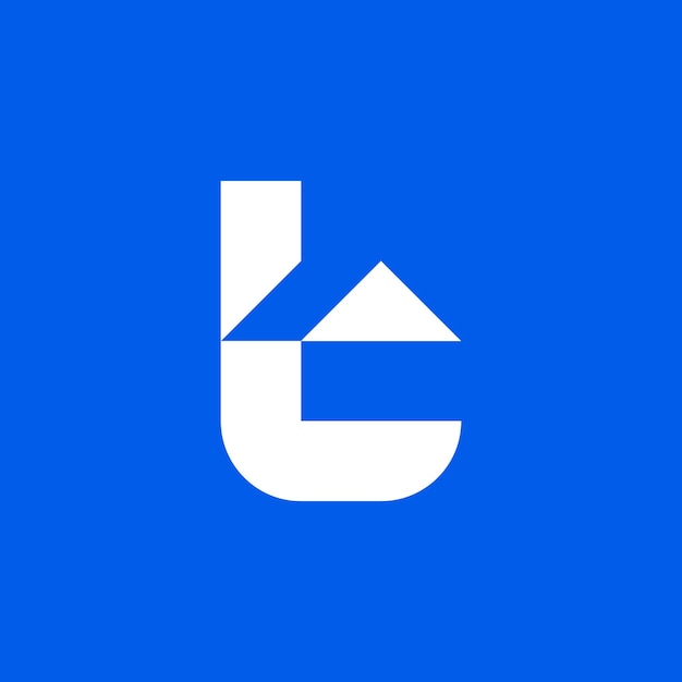 Logo Dachu Domu Litera T