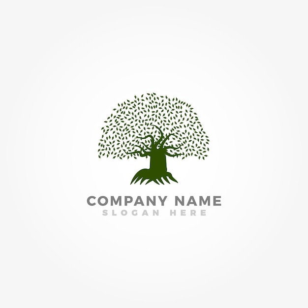 Logo Dębu, Szablon Logo Dużego Drzewa Dla Firm