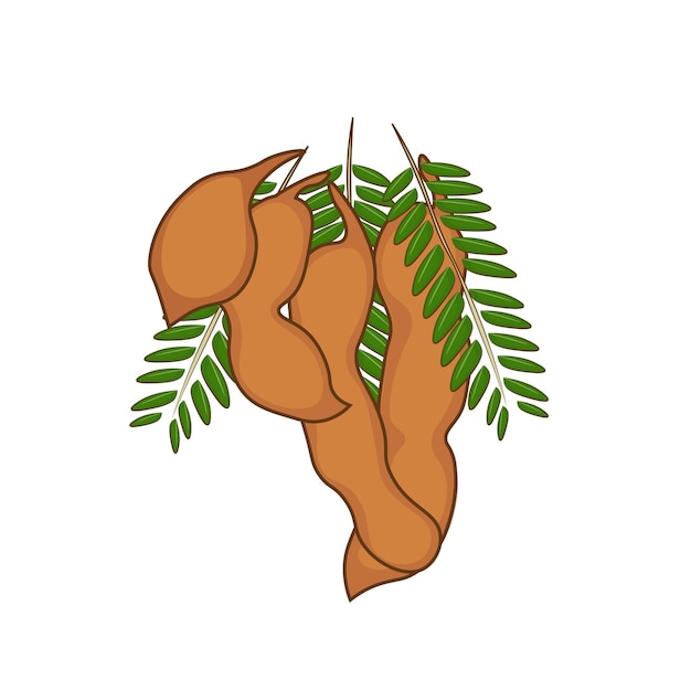 Plik wektorowy logo ilustracja kreskówka owoc tamaryndowca