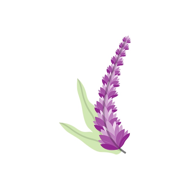 Logo Lavender Purple Plant Vector Garden Design Ilustracja Szablon Symbolu