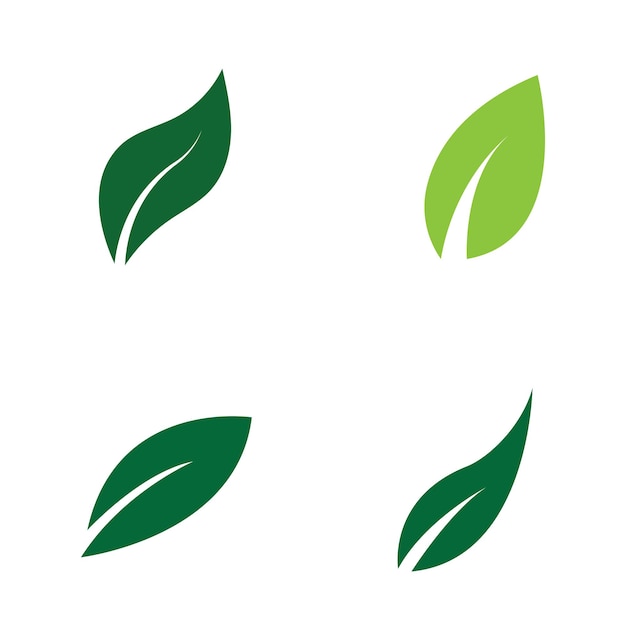 Logo Leaf Obrazy projekt szablonu Ikona
