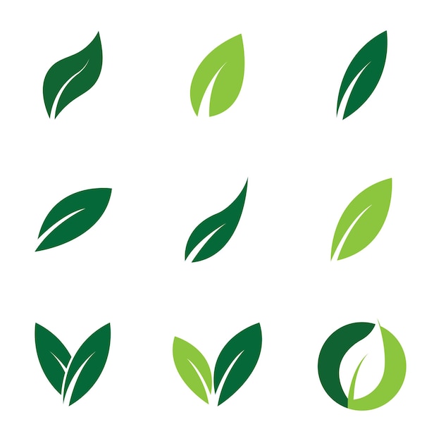 Logo Leaf Obrazy projekt szablonu Ikona