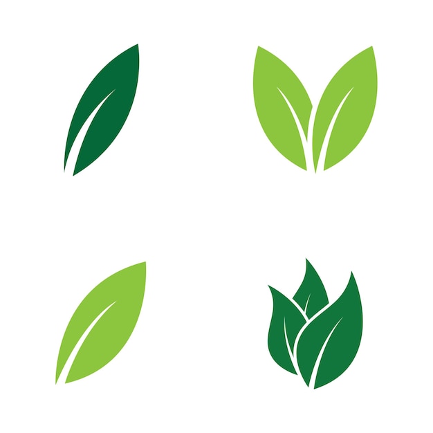Logo Leaf Obrazy projekt szablonu Ikona