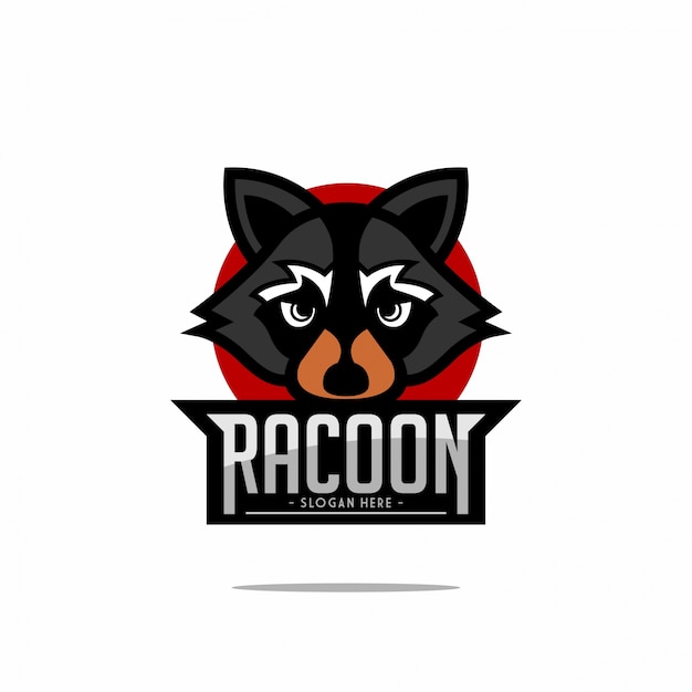 Logo Racoon