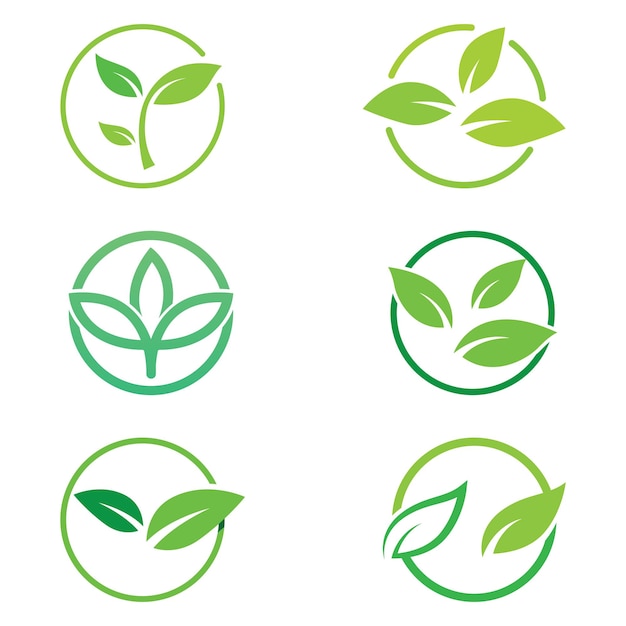 Logo Zielonego Liścia Rośliny Ogrodowe I Projekt Wektora Natury Koncepcja Ilustracji Wektorowych Szablon