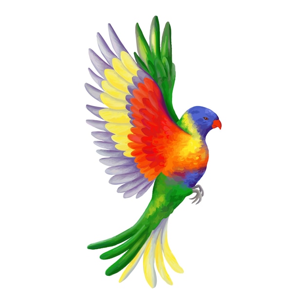 Lorikeet latający wektor tęczy Kolorowe żywe papugi Ptak tropikalnej dżungli Realistyczna ilustracja na białym tle