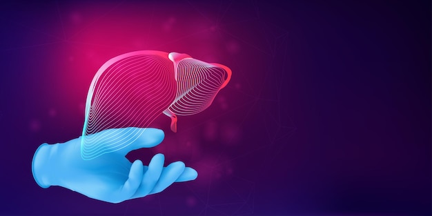 Ludzka wątroba 3D sylwetka na dłoni lekarza w realistycznej gumowej rękawiczce. Anatomiczne pojęcie medyczne z szkieletem ludzkiego narządu na abstrakcyjnym tle. Ilustracja wektorowa w stylu neonowym lineart