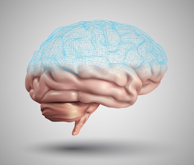Ludzki Mózg I Abstrakcyjne Elementy Projektu Siatki Wektor