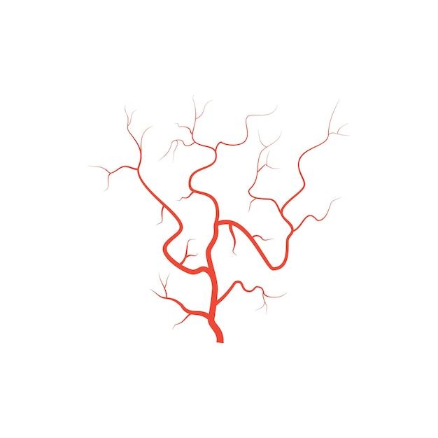 Plik wektorowy ludzkie czerwone żyły oczu tętnice naczyń krwionośnych wektorowe medyczne żyły gałki ocznej wyizolowane na białym