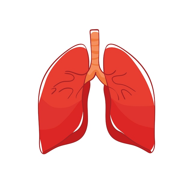 Ludzkie Płuca W Stylu Doodle