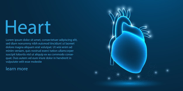 Plik wektorowy ludzkie serce medyczne, koncepcja low poly.