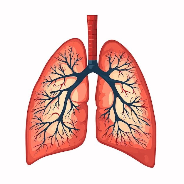 Lung_cancer_diagram_in_details_vector