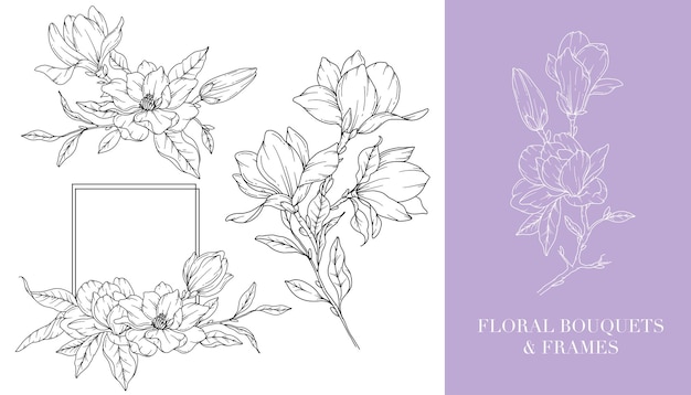 Plik wektorowy magnolia line drawing floral line art flower coloring page botanical hand drawn illustration