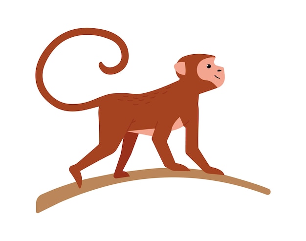 Makaki Małpa Egzotyczne Zwierzę Ilustracja Wektorowa