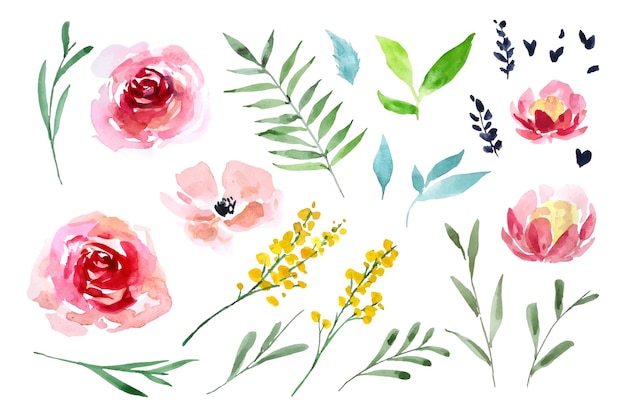 Plik wektorowy malarstwo akwarelowe kwiatów i liści kolekcja poszczególnych elementów