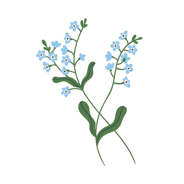 Plik wektorowy małe niebieskie kwiaty niezapominajkowe na łodydze z liśćmi. delikatne kwitnące zapomnienia. botaniczny element kwiatowy. kolorowy płaski wektor ilustracja na białym tle.