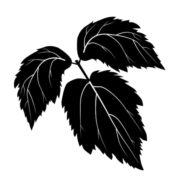 Malinowy krzak malinowe liście do projektowania i logo