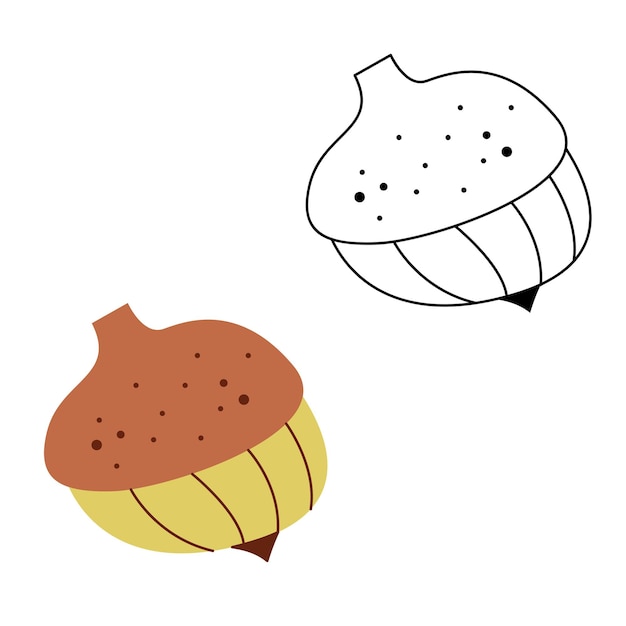 Mały zestaw z dwoma abstrakcyjnymi doodle orzechów Czarno-białe i kolorowe ilustracji wektorowych clipart