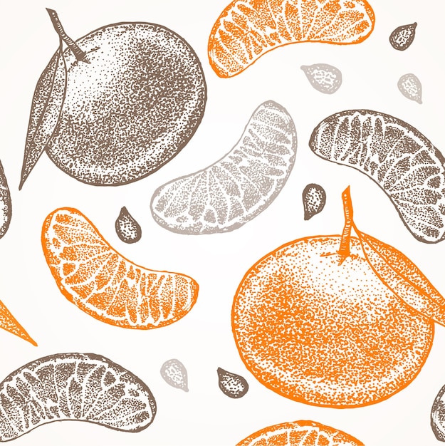 Plik wektorowy mandarynka ręcznie rysować szkic tło wzór.