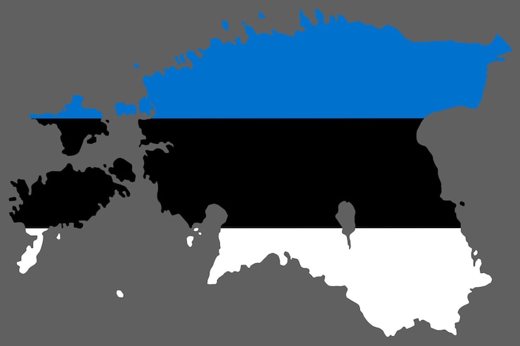 Wektor mapa estonii z flagą europy kartografia