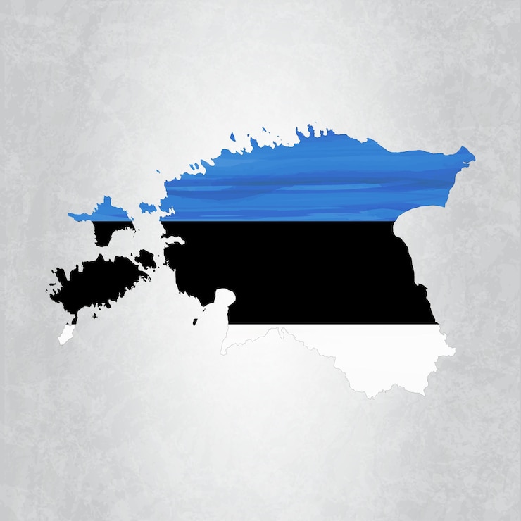 Wektor mapa estonii z flagą