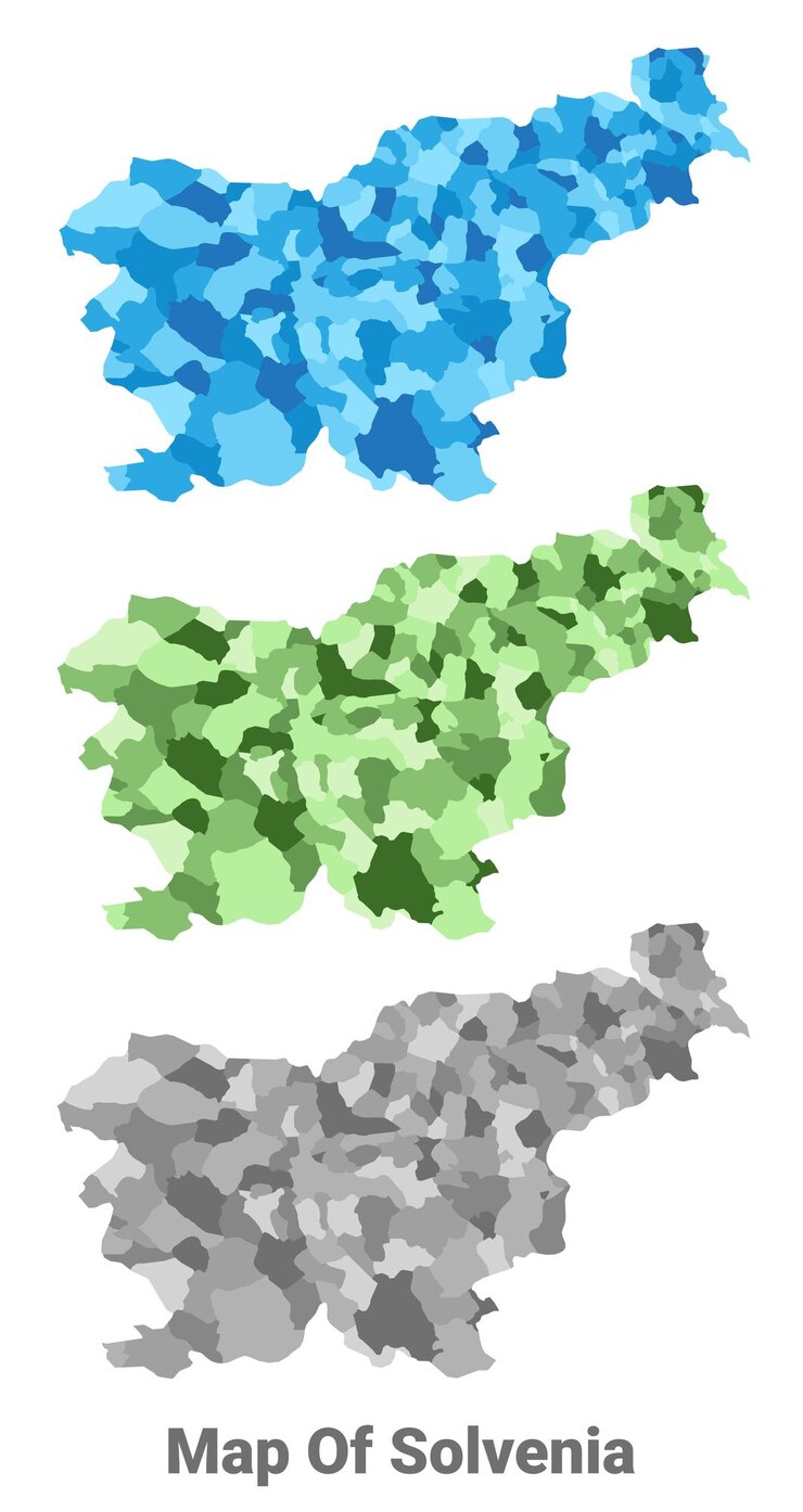 Wektor mapa kraju słowenii w różnych kolorach regionów