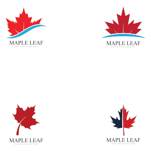 Maple leaf logo template vector icon illustration maple leaf vector illustration kanadyjski symbol wektorowy czerwony karton karton czerwony symbol kanadyjski karton