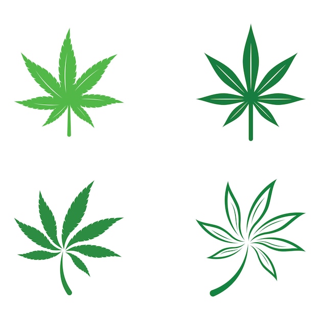 Marihuana lub liść konopi logo lub ilustracja szablon wektor wzór