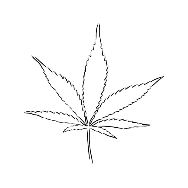 Marihuana roślina linia sztuka rysunek klipart Cannabis botaniczna ilustracja projektowanie opakowania