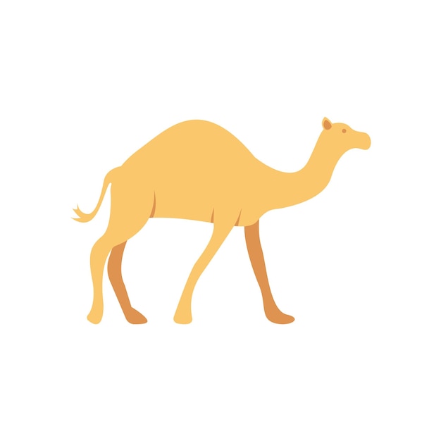 Marokańska Estetyczna Naklejka Camel Desertwave