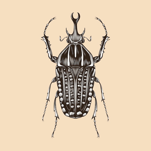 Mecynorhina Polyphemus Ilustracja Wektor Płaska Konstrukcja