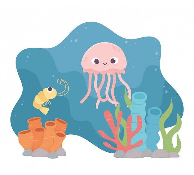 Plik wektorowy meduza krewetki życie rafa koralowa kreskówka pod morzem