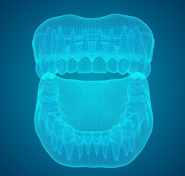 Medycyna i zdrowie ludzkiej szczęki 3d układu wektorowego