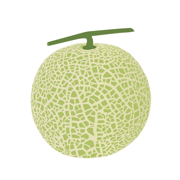 Melon Kantalupa, Ilustracja Wektora Owoców 10.