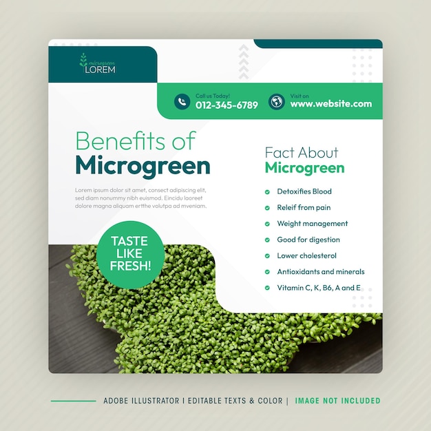 Microgreen Benefit Social Media Post Design I Szablon Transparentu Firmy Microgreen Plantation