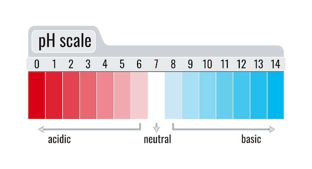 Plik wektorowy miernik wykresu skali wartości ph dla roztworów kwasów i zasad izolowanych na białym tle test chemiczny na płycie równowaga kwasu i zasady czerwony i niebieski wskaźnik lakmusowy infografika płaska ilustracja wektora