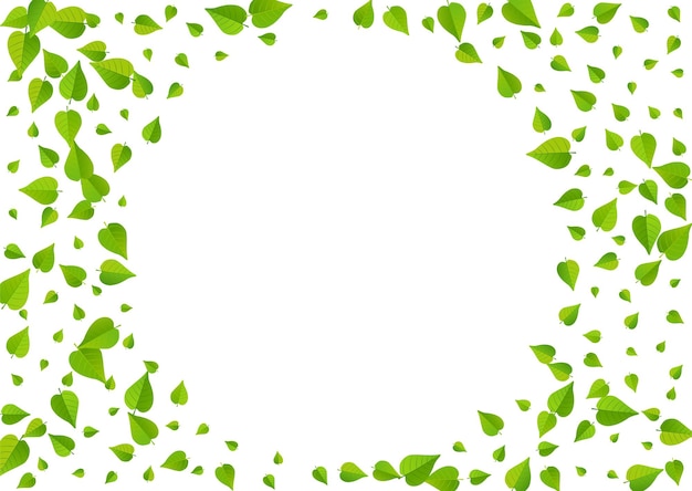 mięty zielony realistyczne wektor białe tło szablonu. Tapeta z wiosennymi liśćmi. Baner drzewa oliwnego liścia. Granica wirowa liści.