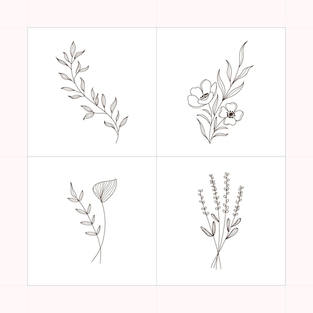Minimal Botanical Line Art Collection Ręcznie narysowany zestaw ilustracji kwiatowych