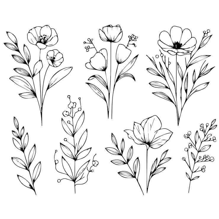 Wektor minimalny botaniczny szkic graficzny rysunek modny mały projekt tatuażu elementy kwiatowe wektor