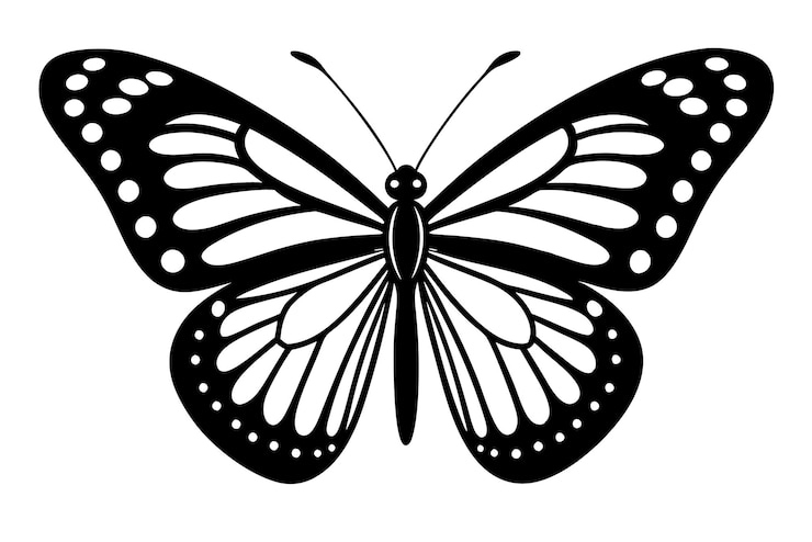 Wektor monarch butterfly na ilustracji wektorowej elegantny i szczegółowy projekt przyrody