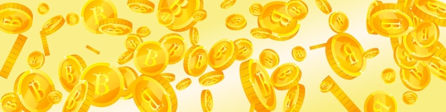 Monety Bitcoina spadają Kryptowaluty rozrzucone