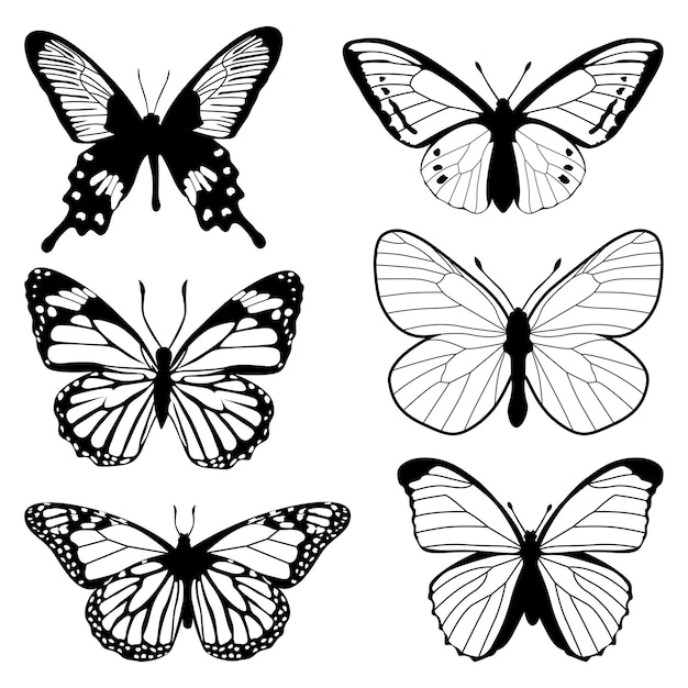 monochromatyczny wektor sylwetki motyla