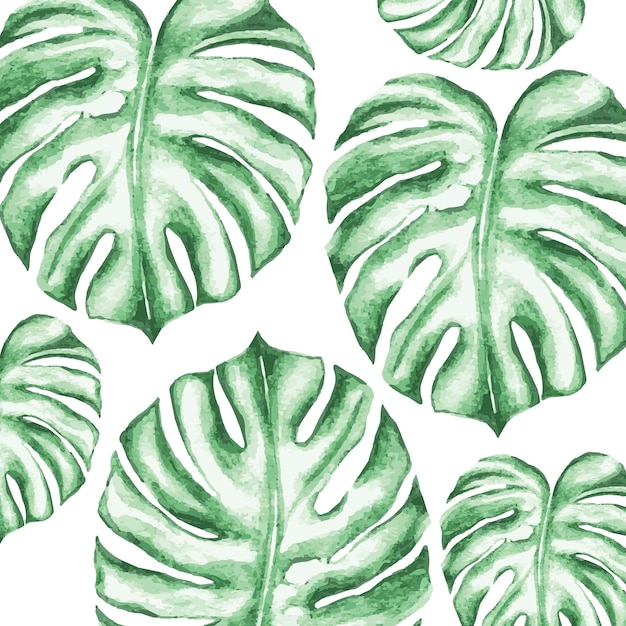 Monstera Leaf Wzór Akwarela