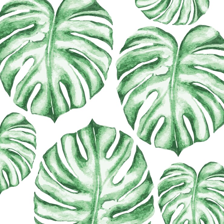 Wektor monstera leaf wzór akwarela