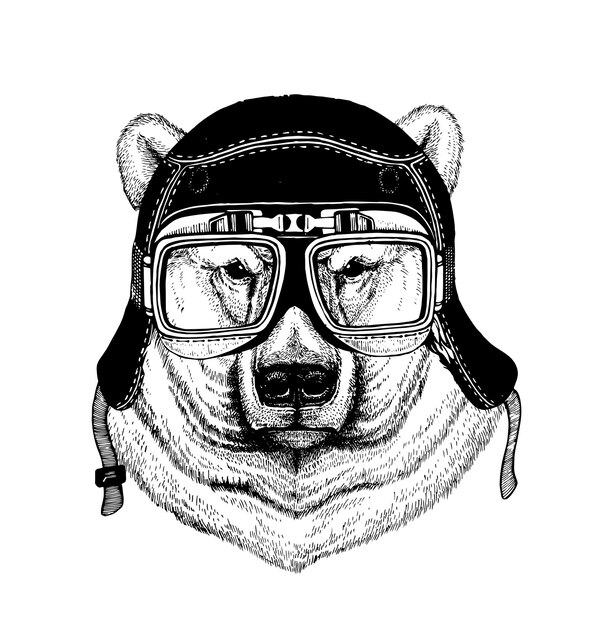Plik wektorowy motocyklista niedźwiedź polarny w okularach