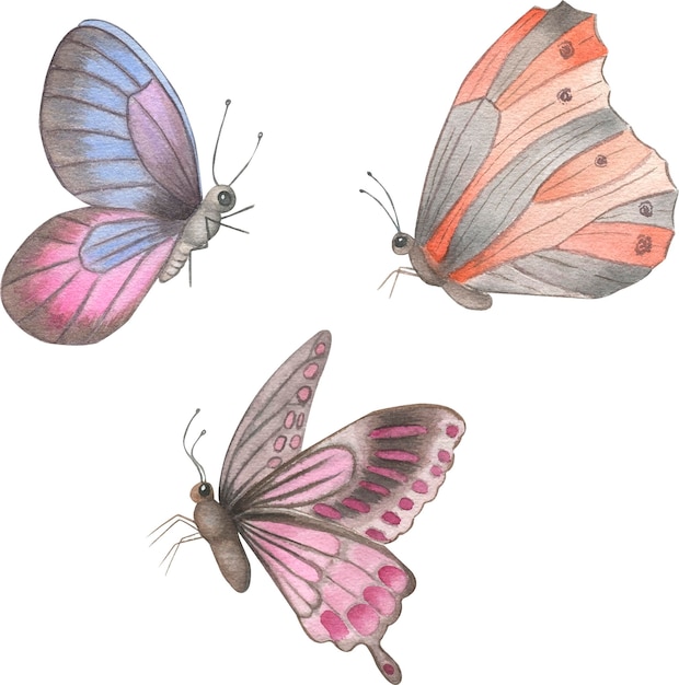 Motyl akwarela ilustracja