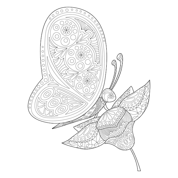 Motyl I Kwiat Ilustracja Wektorowa W Stylu Zentangle Kolorowanka Antystresowy Dla Dzieci