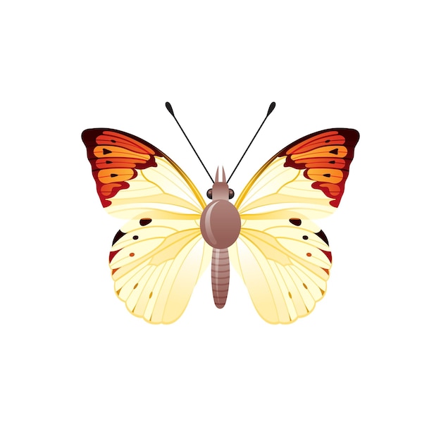 Motyl Ikona 3d Realistyczny Motyl Owad Z Pięknym Pomarańczowym żółtym Kolorem Skrzydłami Znak Zwierzę Dla Logo Projekt Plakatu Tshirt Wydruku Transparent Wektor Ilustracja Na Białym Tle